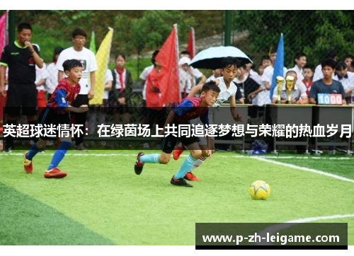 英超球迷情怀：在绿茵场上共同追逐梦想与荣耀的热血岁月